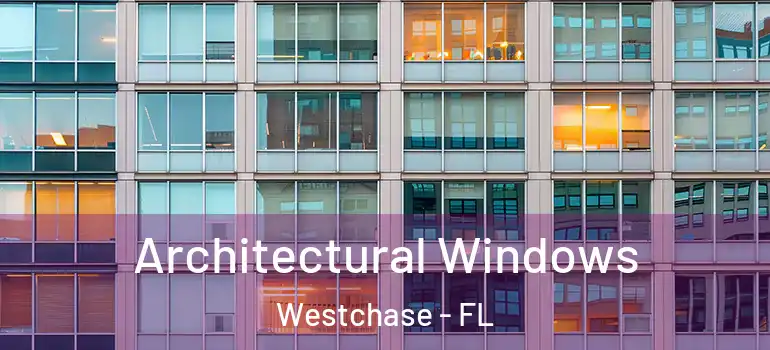  Architectural Windows Westchase - FL