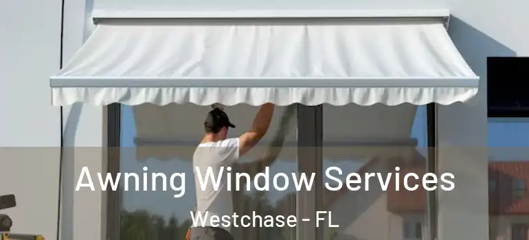  Awning Window Services Westchase - FL