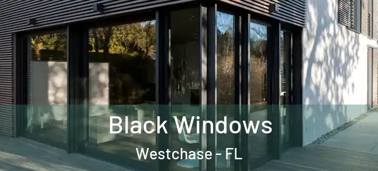  Black Windows Westchase - FL