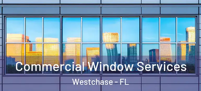  Commercial Window Services Westchase - FL