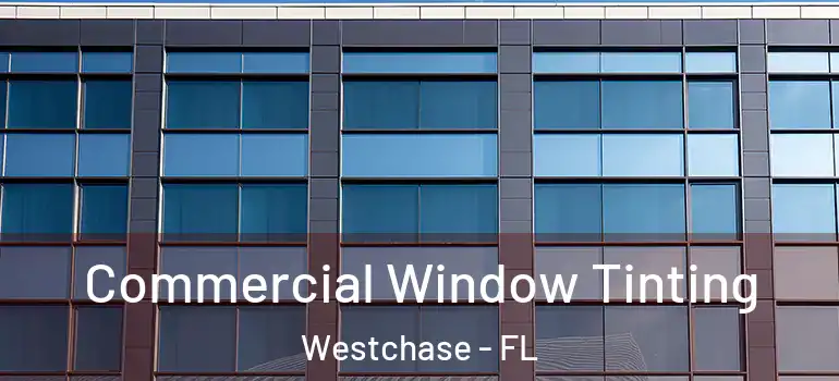  Commercial Window Tinting Westchase - FL