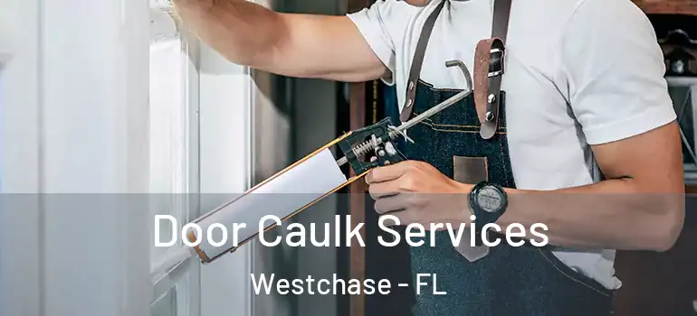  Door Caulk Services Westchase - FL