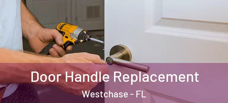  Door Handle Replacement Westchase - FL