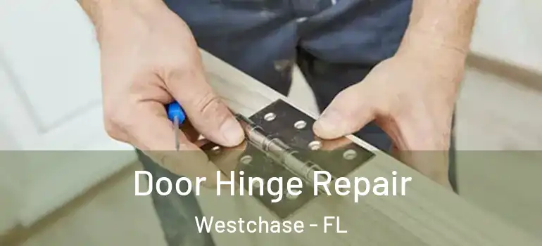  Door Hinge Repair Westchase - FL
