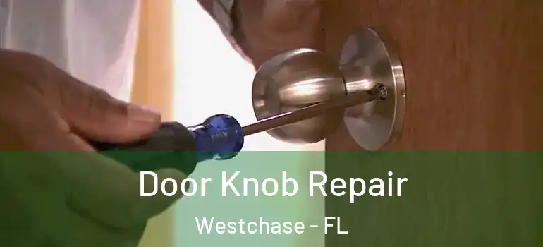  Door Knob Repair Westchase - FL
