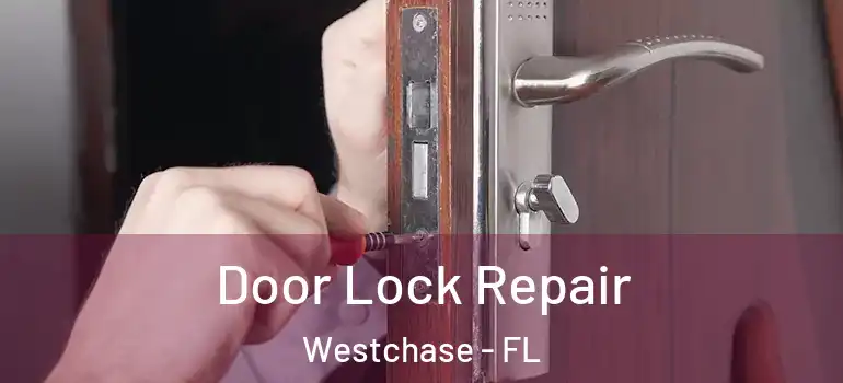  Door Lock Repair Westchase - FL