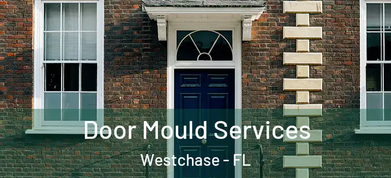  Door Mould Services Westchase - FL