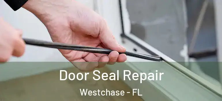  Door Seal Repair Westchase - FL