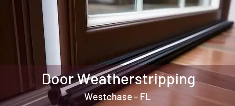  Door Weatherstripping Westchase - FL