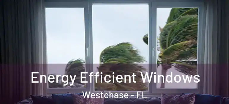  Energy Efficient Windows Westchase - FL