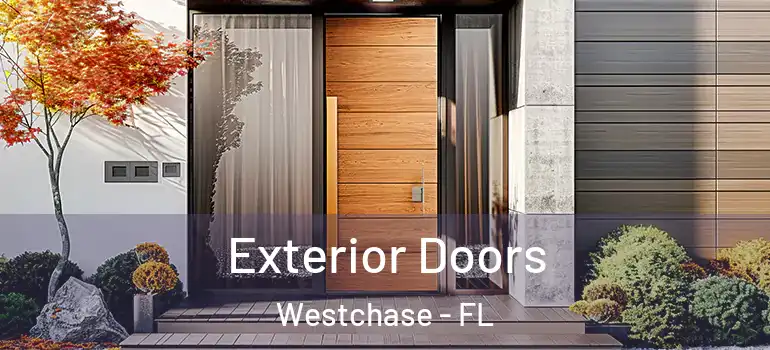  Exterior Doors Westchase - FL