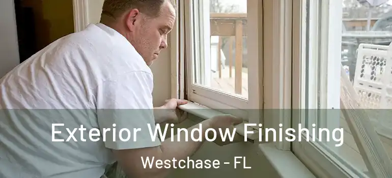  Exterior Window Finishing Westchase - FL