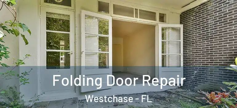  Folding Door Repair Westchase - FL