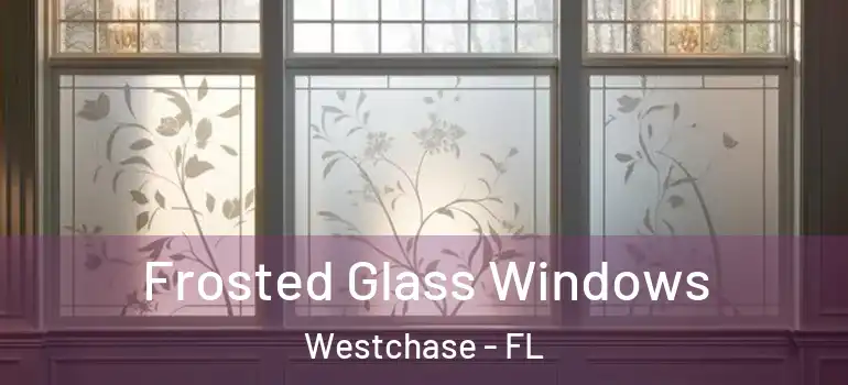  Frosted Glass Windows Westchase - FL