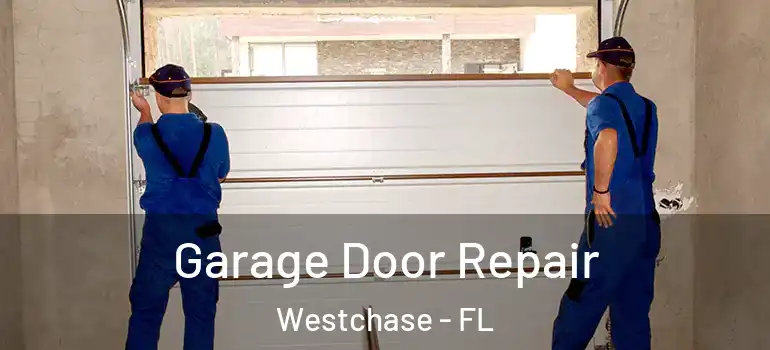  Garage Door Repair Westchase - FL