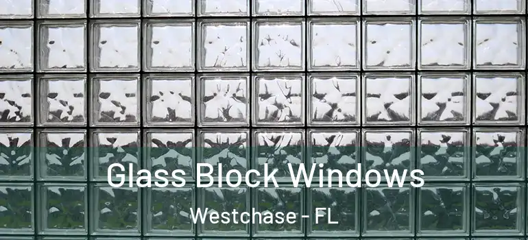  Glass Block Windows Westchase - FL
