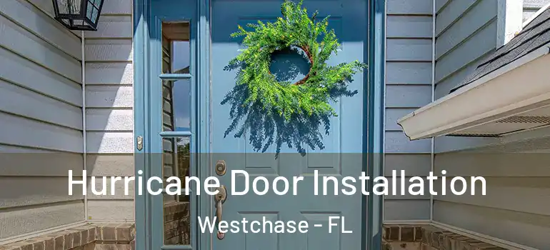  Hurricane Door Installation Westchase - FL