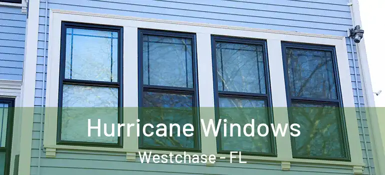  Hurricane Windows Westchase - FL