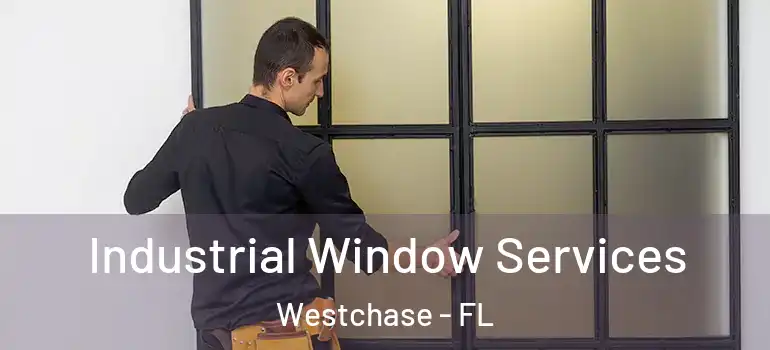  Industrial Window Services Westchase - FL