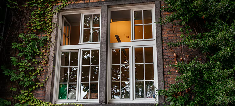 Energy Efficient Wood Windows in Westchase, FL