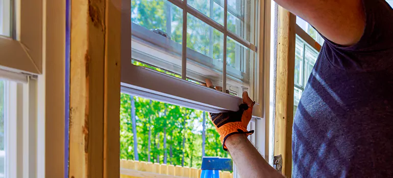 Decorative Window Film Services in Westchase, FL