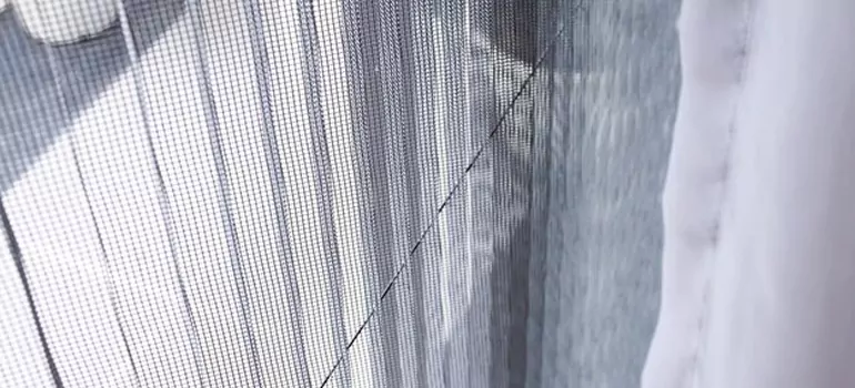 Fixing Screen Window Mesh in Westchase, FL