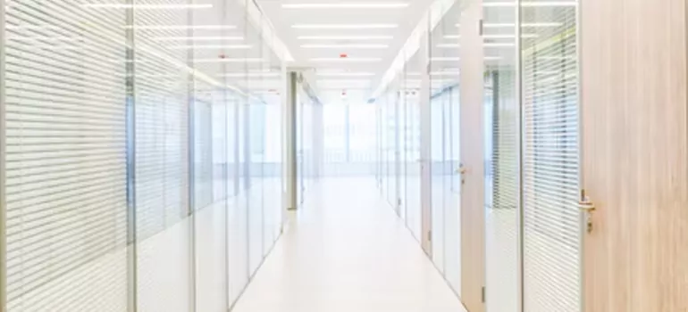 Frosted Glass Windows Replacement in Westchase, FL