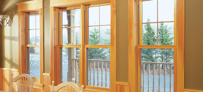 Government Incentives For Replacement Windows in Westchase, FL