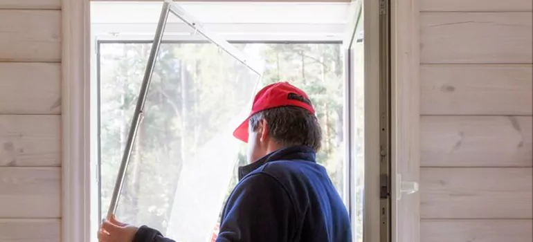 Expandable Window Screen Installation in Westchase, FL