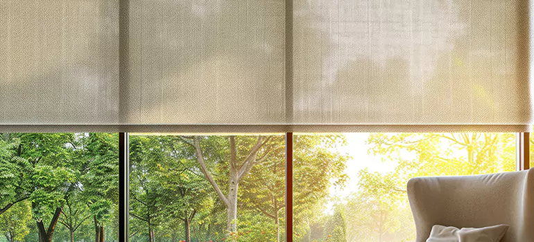 Custom Window Shades in Westchase, FL