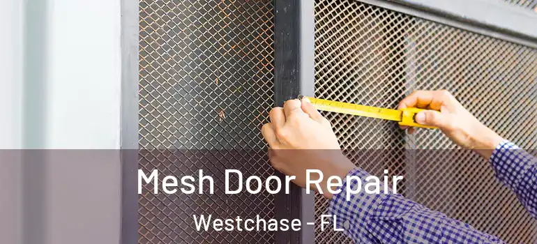 Mesh Door Repair Westchase - FL