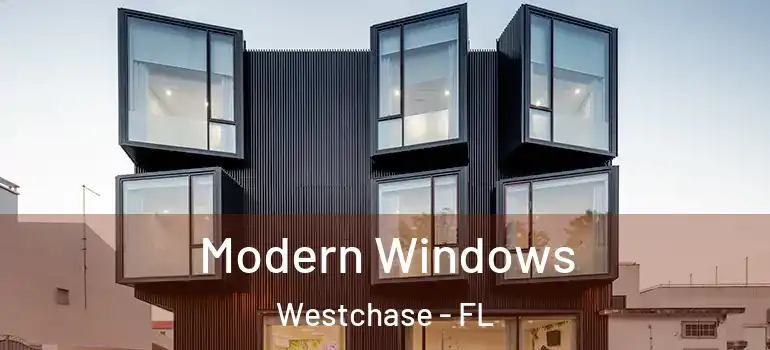  Modern Windows Westchase - FL