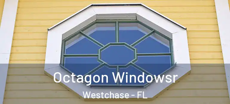  Octagon Windowsr Westchase - FL