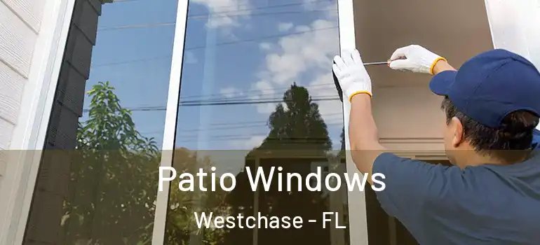  Patio Windows Westchase - FL