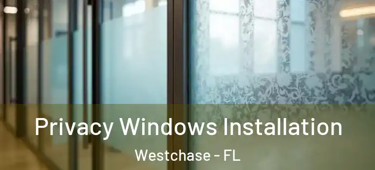  Privacy Windows Installation Westchase - FL