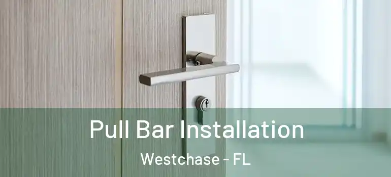  Pull Bar Installation Westchase - FL