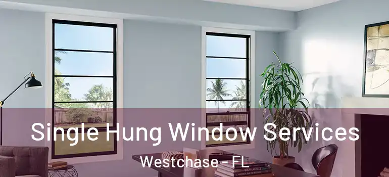  Single Hung Window Services Westchase - FL