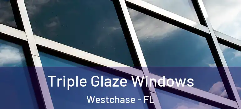 Triple Glaze Windows Westchase - FL