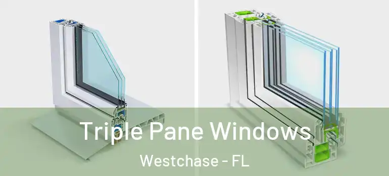  Triple Pane Windows Westchase - FL