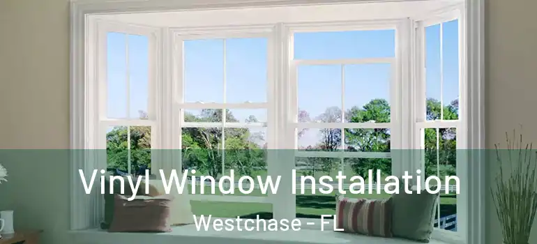  Vinyl Window Installation Westchase - FL