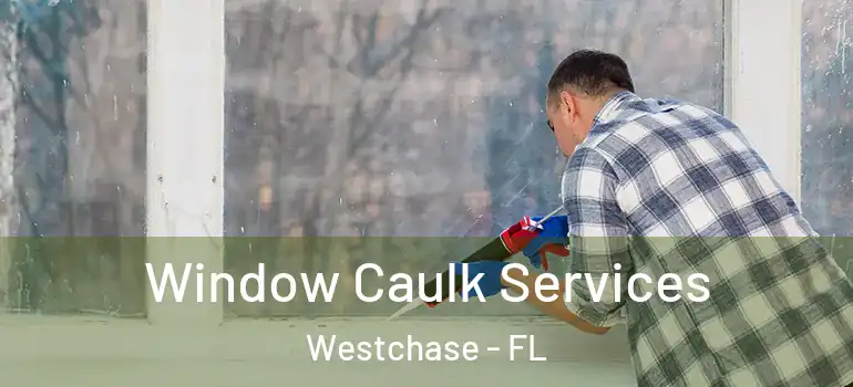  Window Caulk Services Westchase - FL