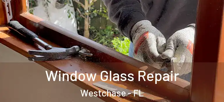  Window Glass Repair Westchase - FL