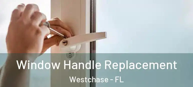  Window Handle Replacement Westchase - FL