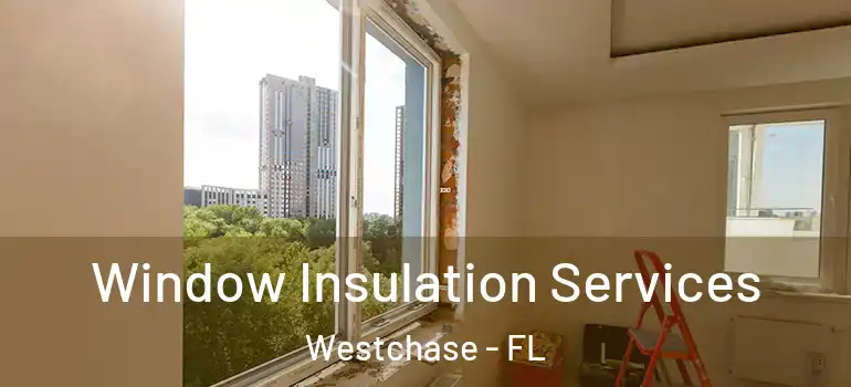  Window Insulation Services Westchase - FL