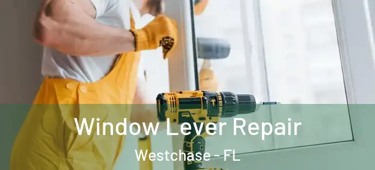  Window Lever Repair Westchase - FL