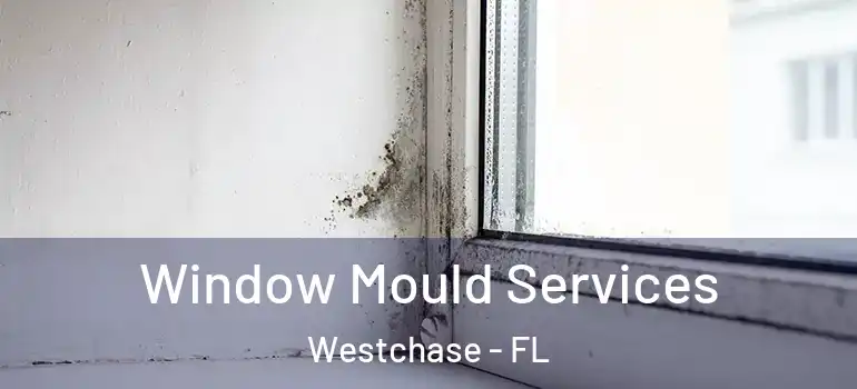  Window Mould Services Westchase - FL