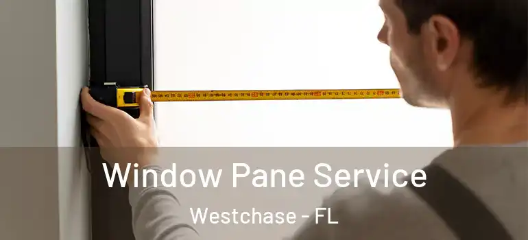  Window Pane Service Westchase - FL