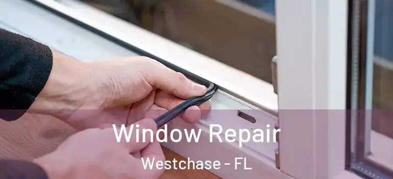  Window Repair Westchase - FL