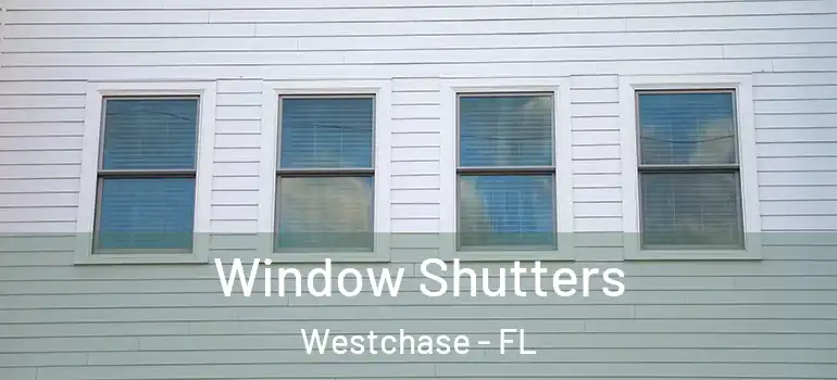  Window Shutters Westchase - FL