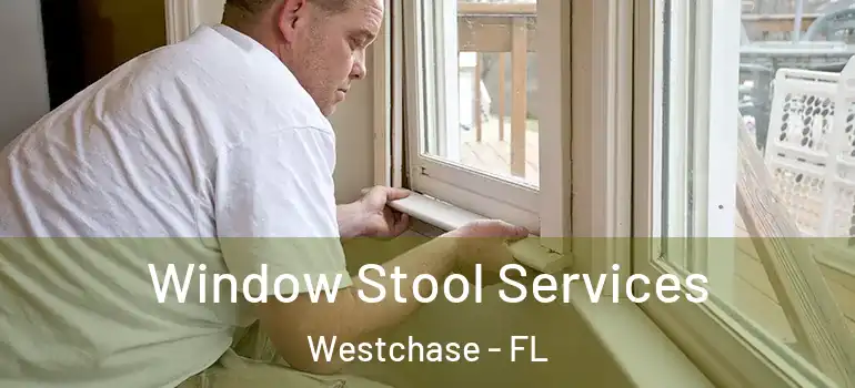  Window Stool Services Westchase - FL